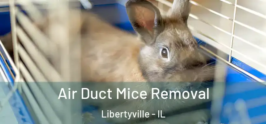 Air Duct Mice Removal Libertyville - IL