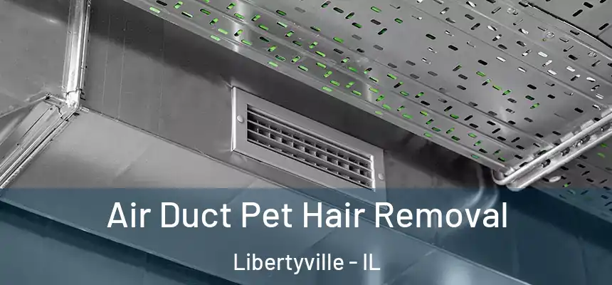 Air Duct Pet Hair Removal Libertyville - IL