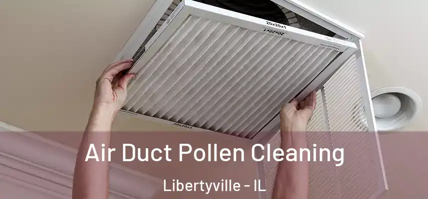 Air Duct Pollen Cleaning Libertyville - IL