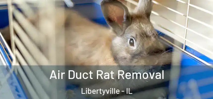 Air Duct Rat Removal Libertyville - IL