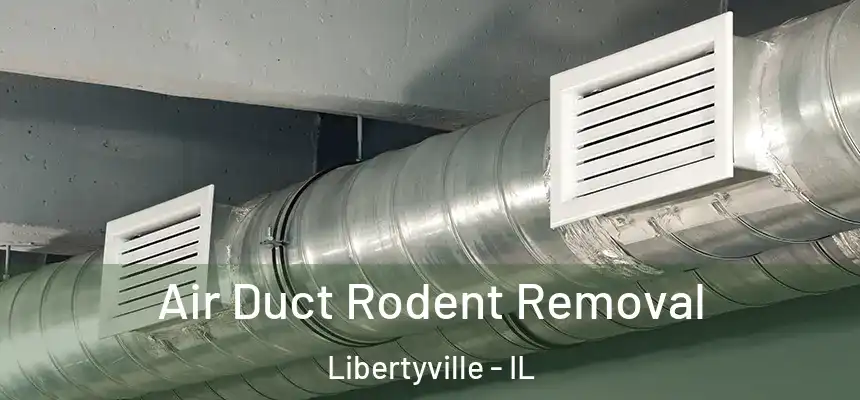  Air Duct Rodent Removal Libertyville - IL