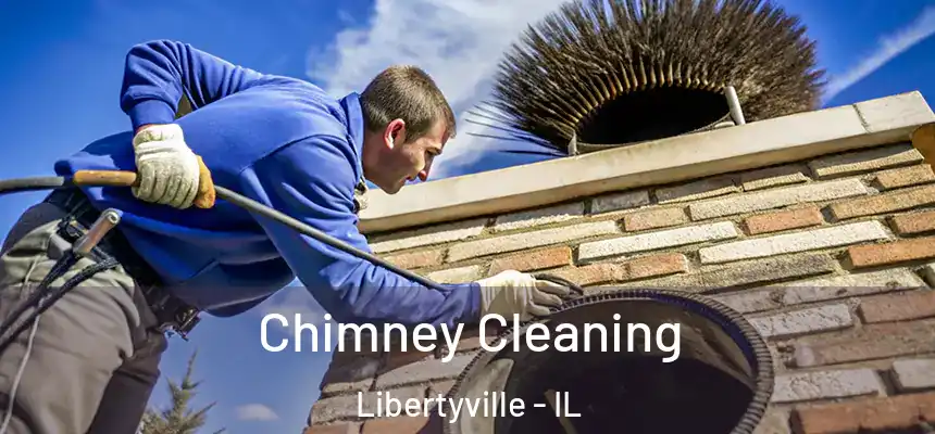 Chimney Cleaning Libertyville - IL