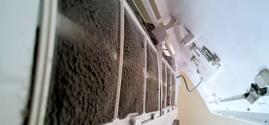 Preventive Air Duct Bacteria Removal in Libertyville