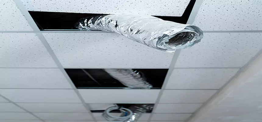 Affordable HVAC Sanitizing After Pest Removal in Libertyville