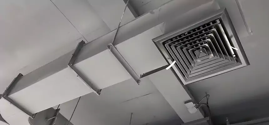 Restorative Allergy Relief Vent Cleaning – Coil, Blower & Housing Detail in Libertyville