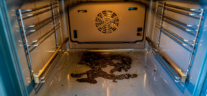 Our Dryer Vent Mold Cleaning Services in Libertyville, IL