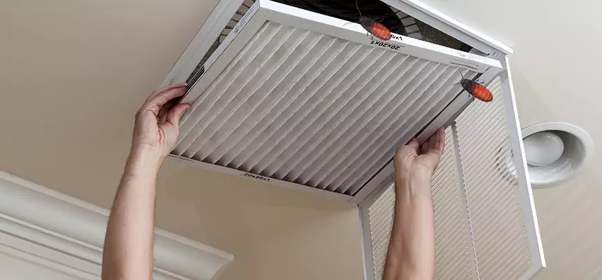Our Insect Removal from Air Ducts Services in Libertyville, IL