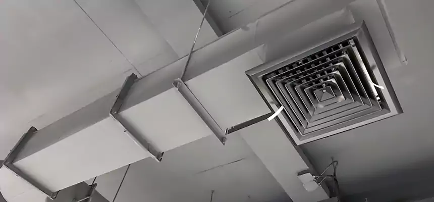 Our Pest Removal From Ducts Services in Libertyville, IL