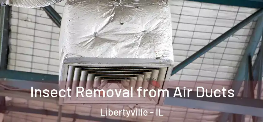  Insect Removal from Air Ducts Libertyville - IL