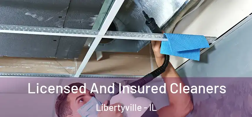  Licensed And Insured Cleaners Libertyville - IL