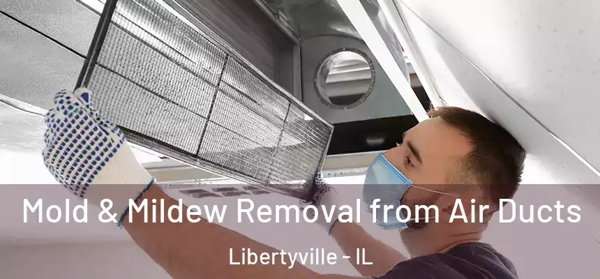  Mold & Mildew Removal from Air Ducts Libertyville - IL