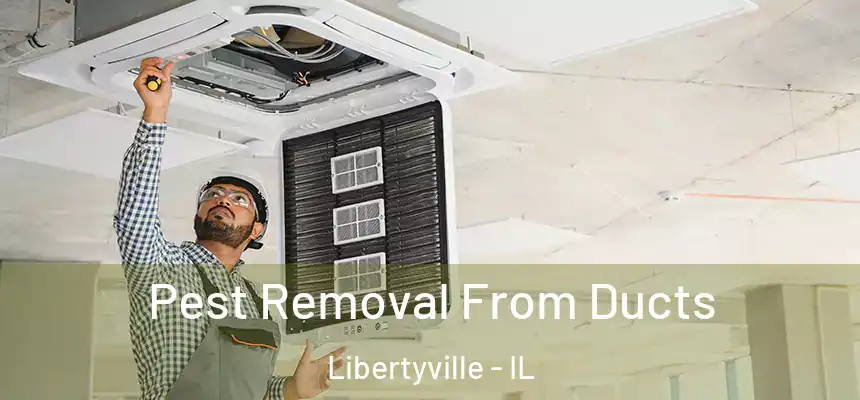  Pest Removal From Ducts Libertyville - IL