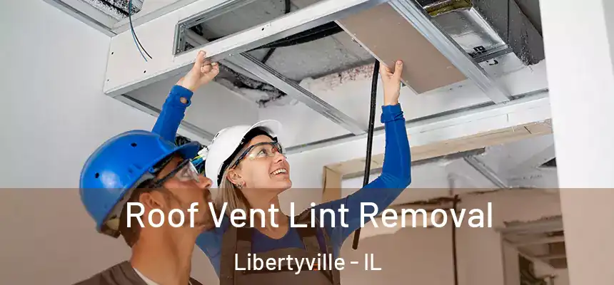 Roof Vent Lint Removal Libertyville - IL