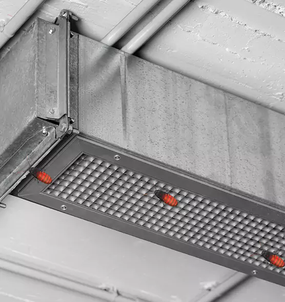 About Air Duct Cockroach Removal in Libertyville, IL