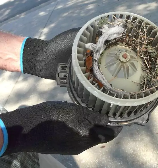 About Air Duct Mice Removal in Libertyville, IL