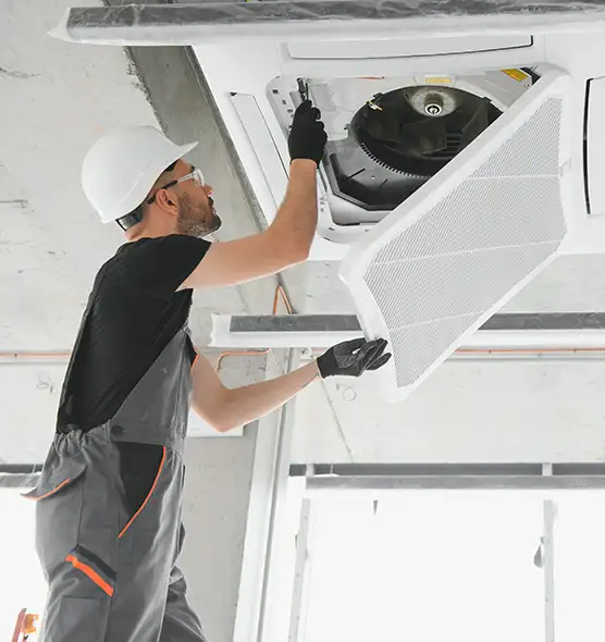 About Air Duct Rodent Removal in Libertyville, IL