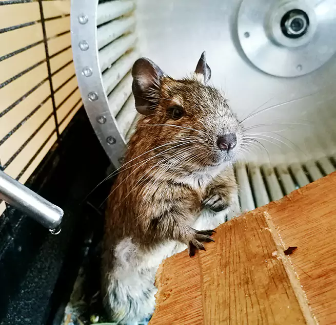 Why Homeowners & Businesses Trust Us Libertyville, IL